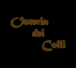 Logo Ristorante dei Colli ROCCA DI PAPA