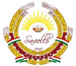 Logo Pizzeria PIZZERIA  SAVIELLO SAN MANGO PIEMONTE