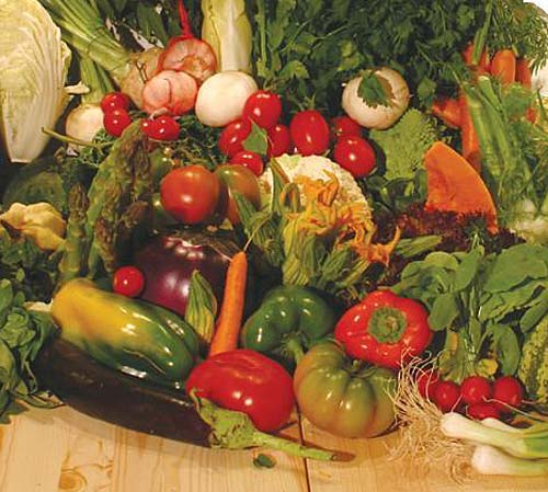 Ristoranti vegetariani a Roma