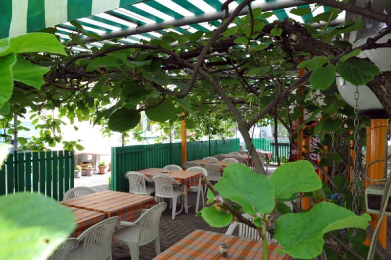 Dettagli Ristorante Giardino