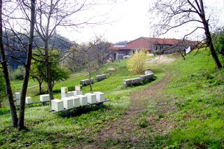 Dettagli Agriturismo Cascina Cristin