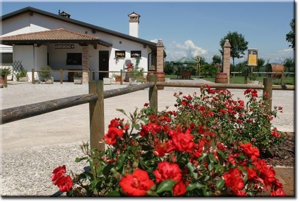 Dettagli Agriturismo Stocco