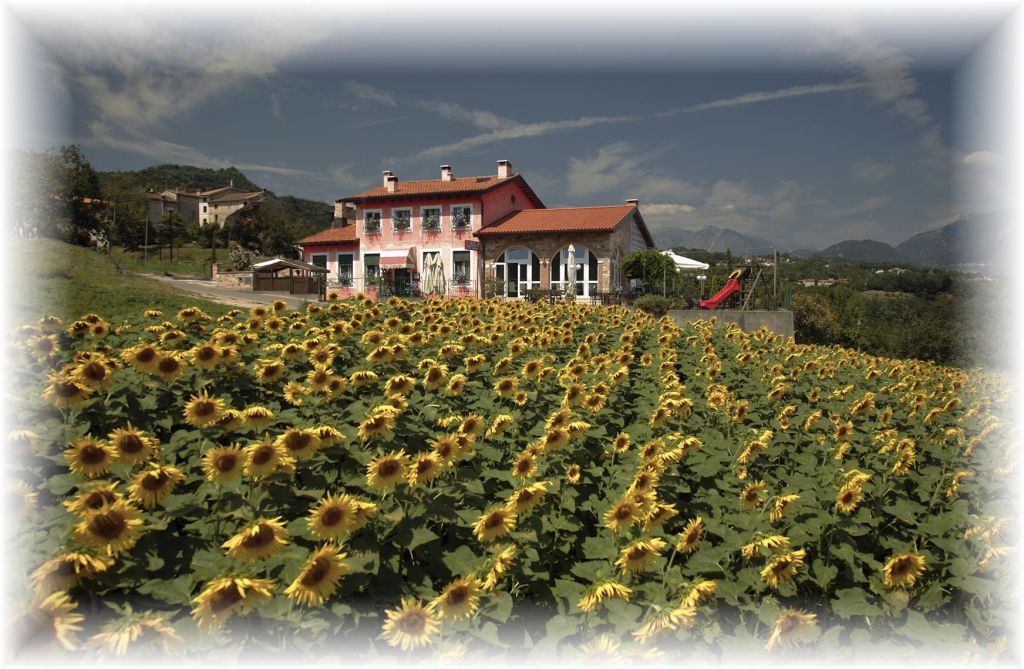 Dettagli Trattoria Leguzzano