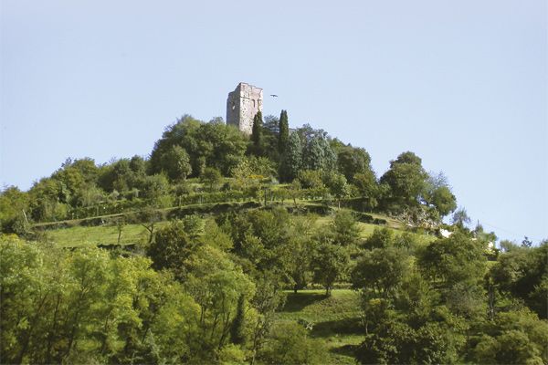 Dettagli Trattoria Ai Colli