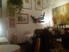 Ristorante <strong> Tale Quale come l'Ortica