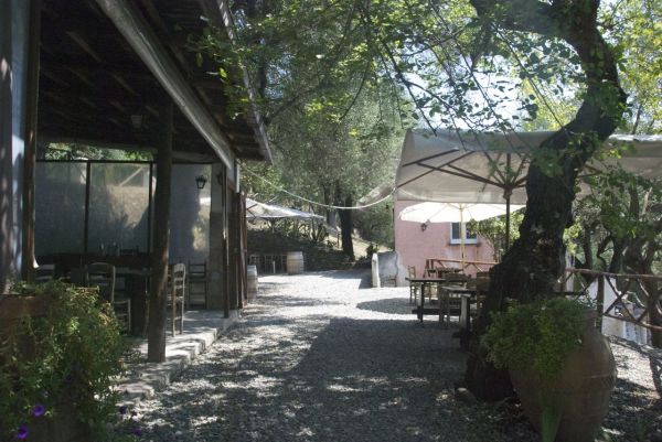 Dettagli Ristorante Perbacco Enoteca Osteria dal 1987