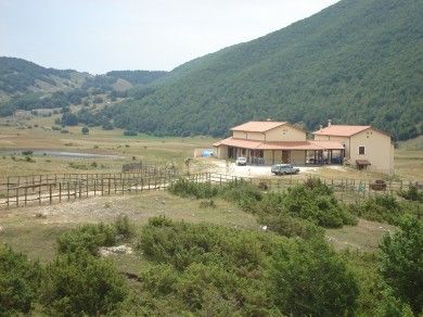 Dettagli Trattoria Da Edoardo il Pescatore