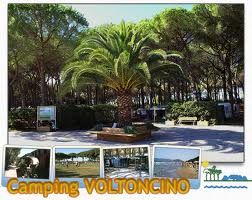 Dettagli Ristorante Camping Voltoncino