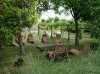 Immagini Villa El Shaddai