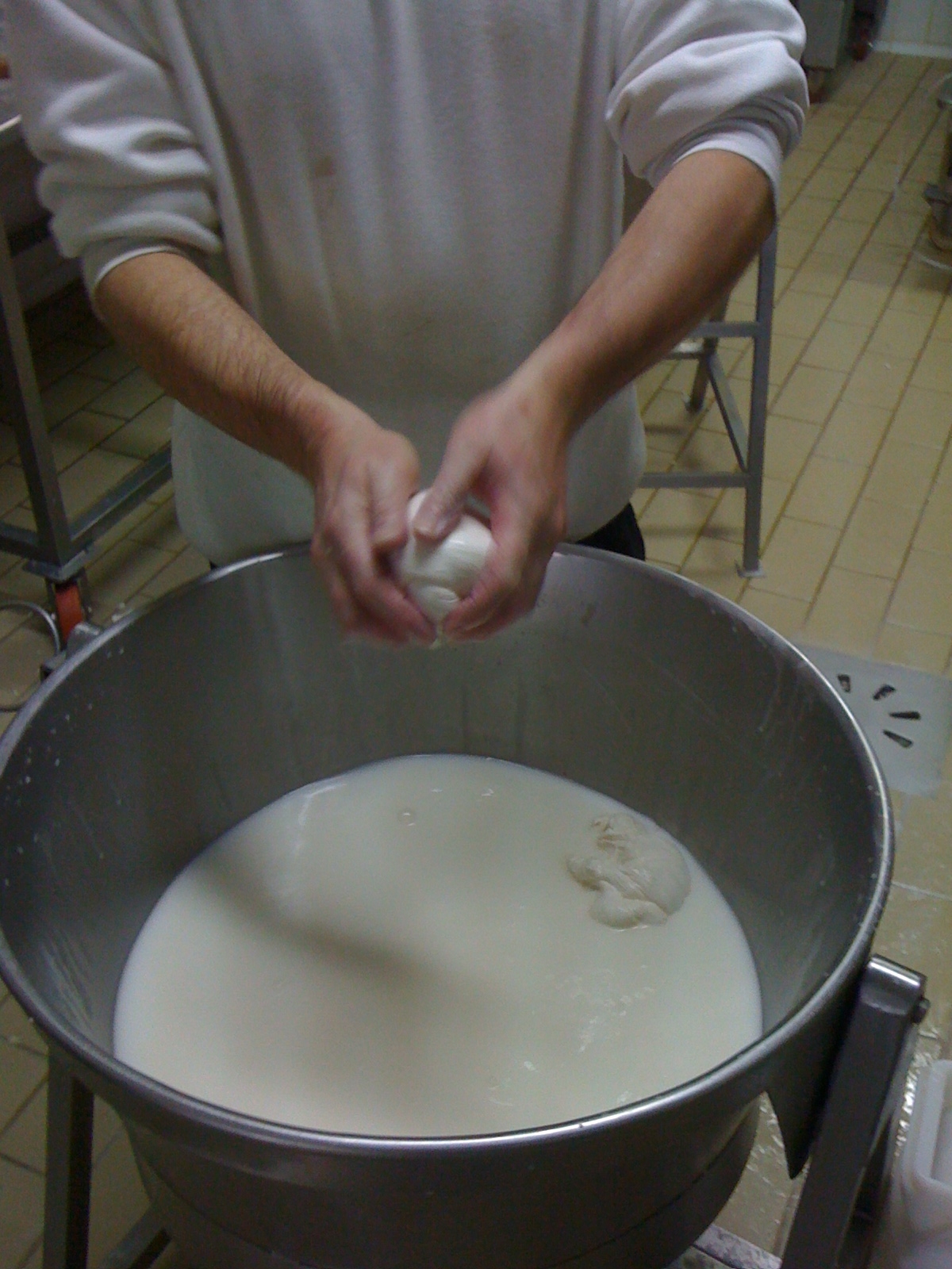Osteria hosteria la pennata foto 1