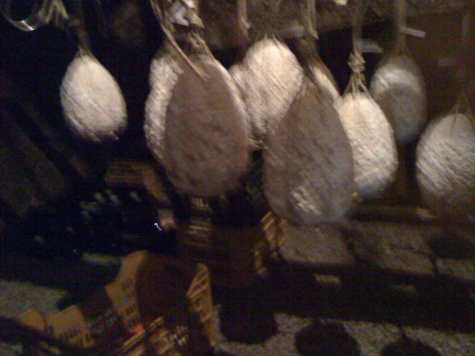 Osteria hosteria la pennata