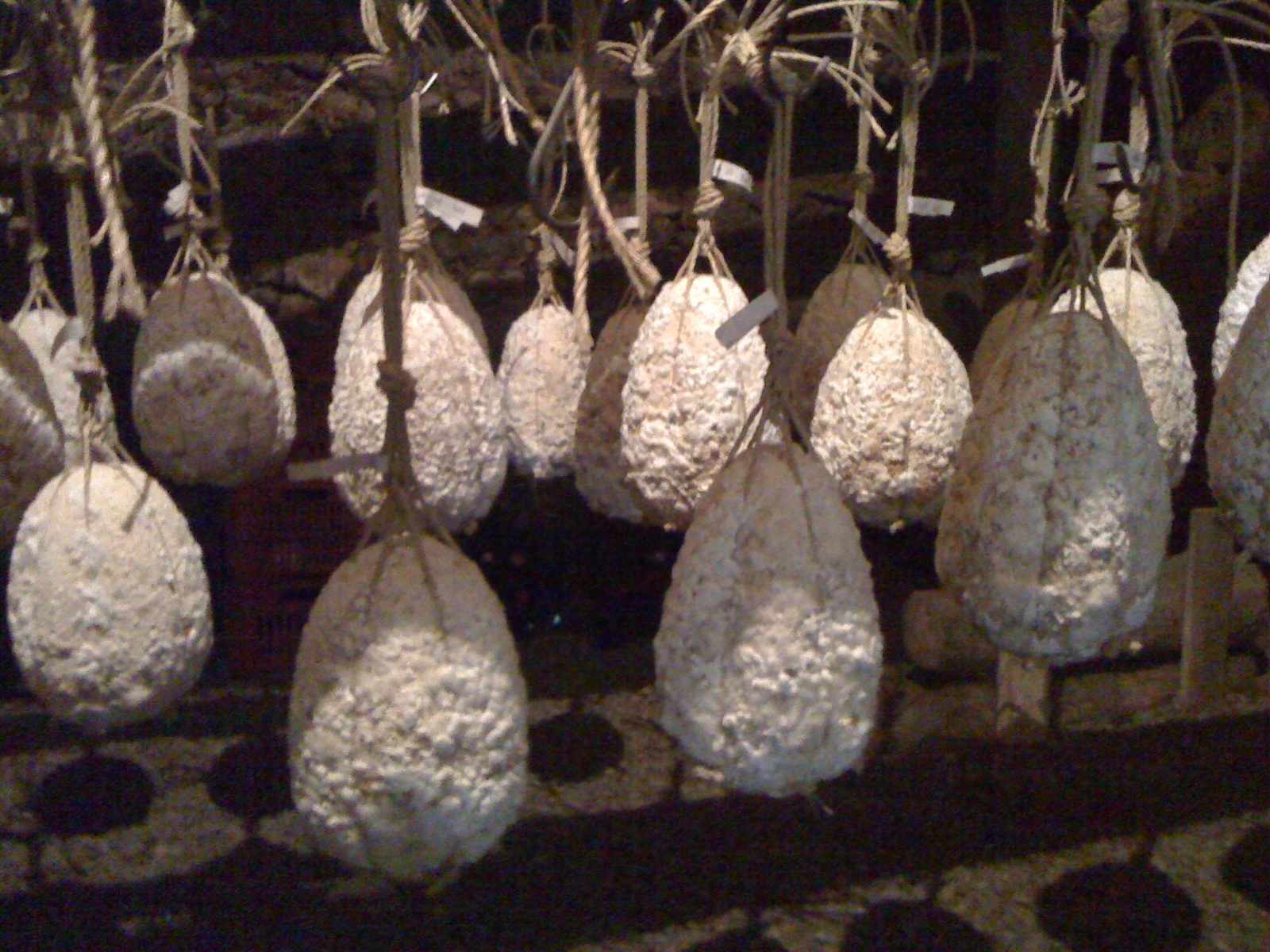Osteria hosteria la pennata