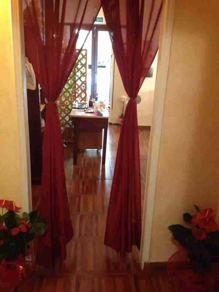 Ristorante Cinese Shan foto 0