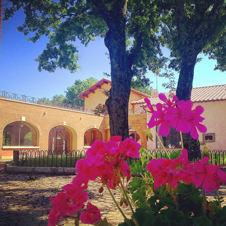 Agriturismo Agriturismo La Noce di Creta foto 0