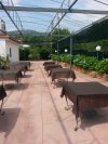 Ristorante Cacio & Pepe