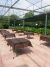 Ristorante Cacio & Pepe