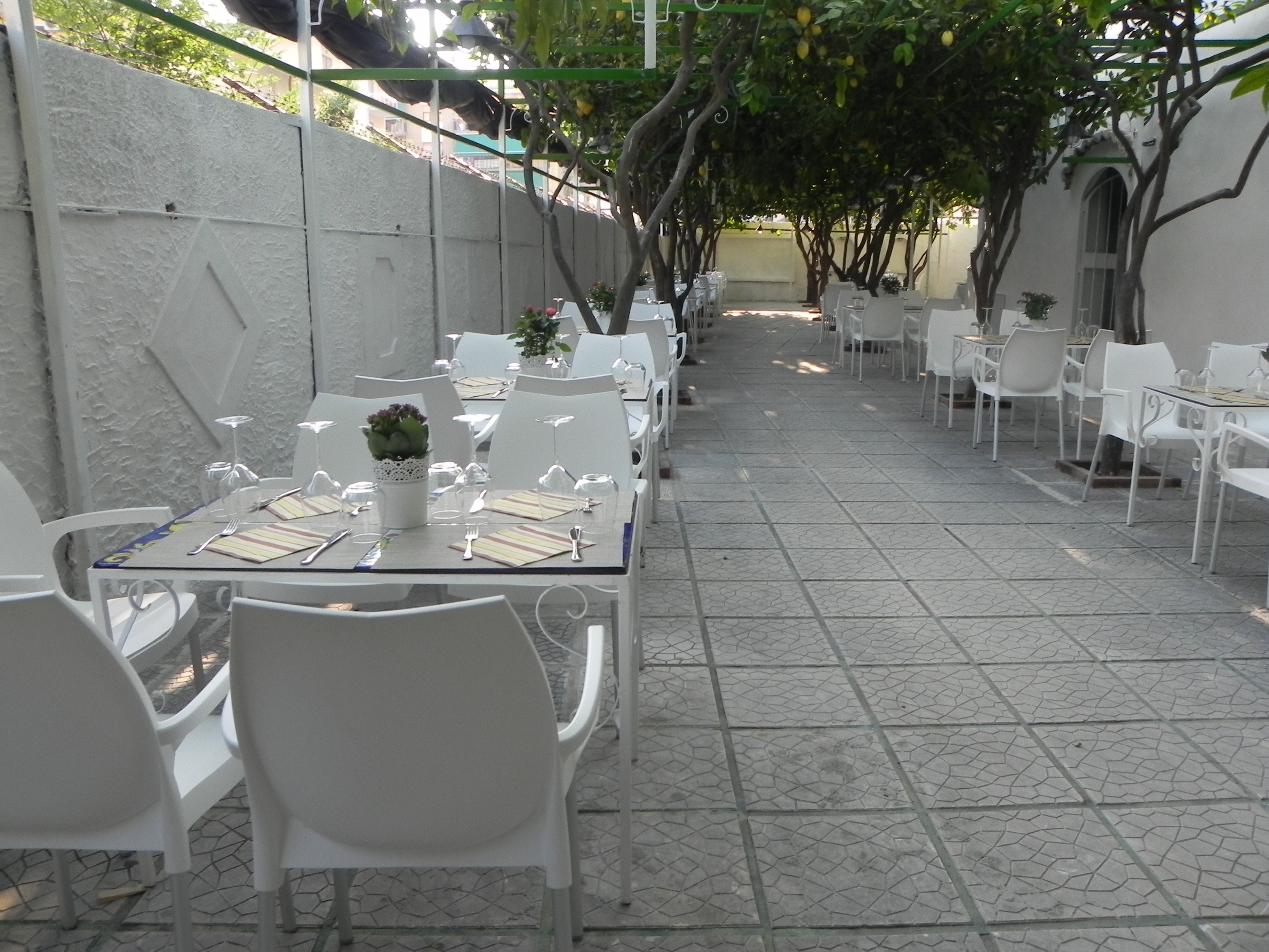 Immagini Ristorante Pineta 1903