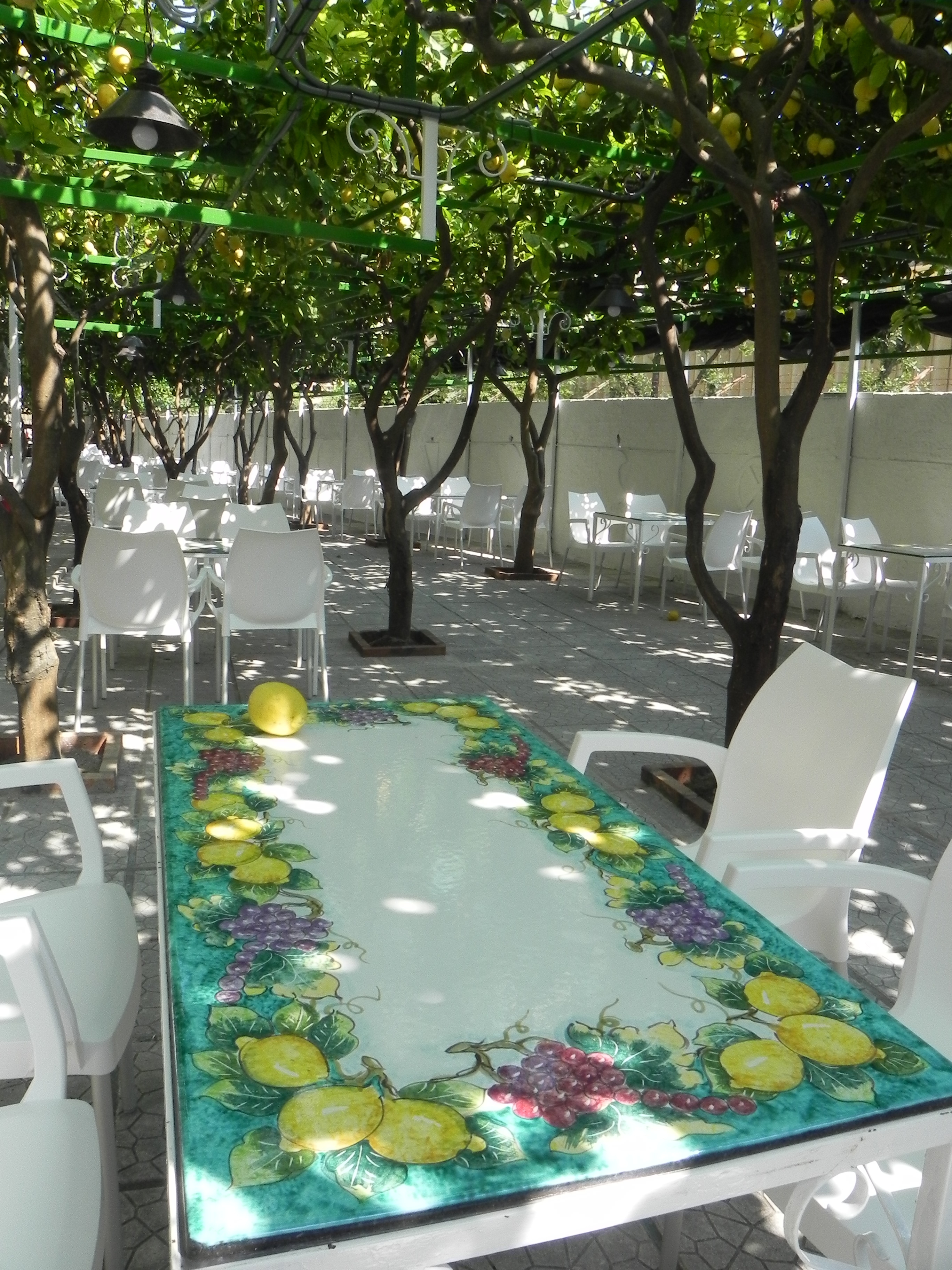 Ristorante Pineta 1903