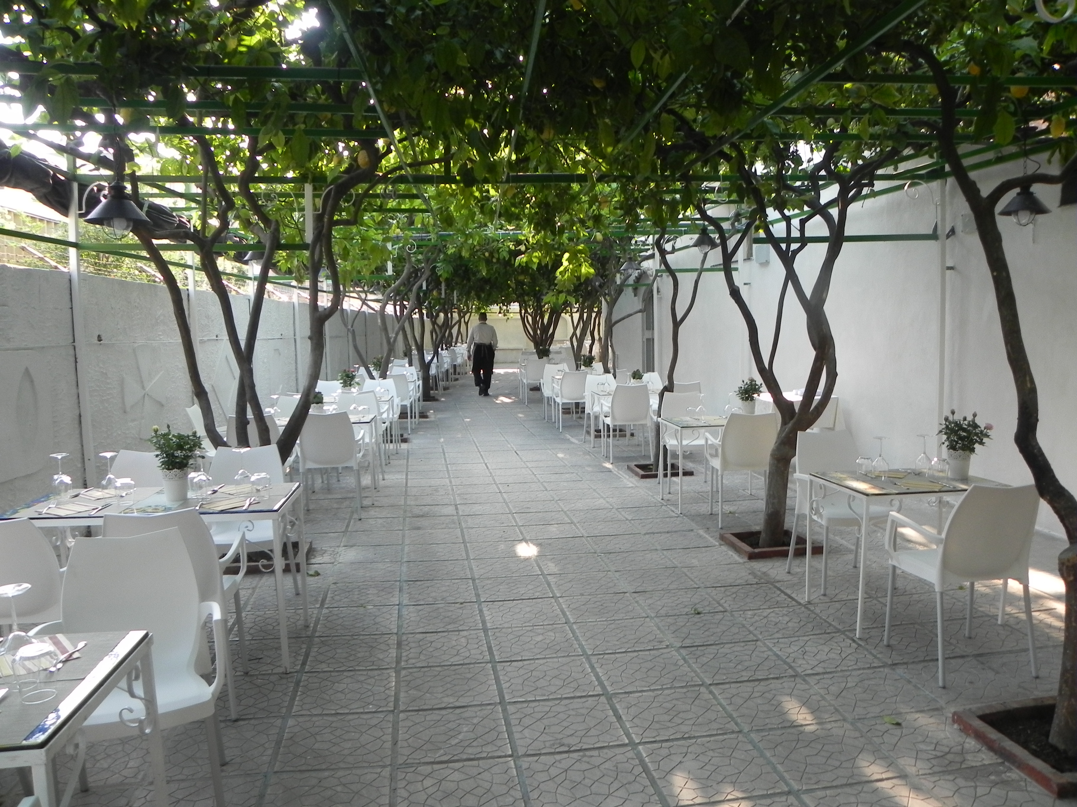 Immagini Ristorante Pineta 1903