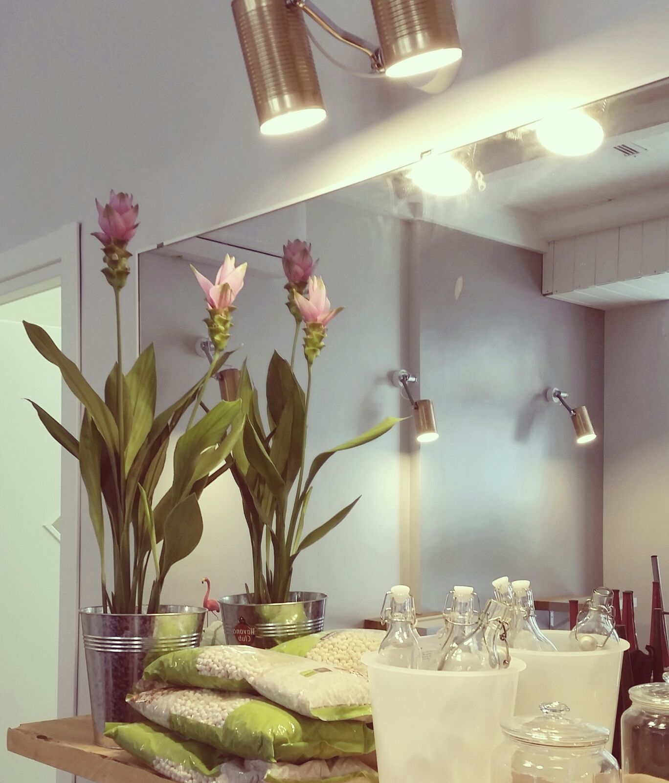 Ristorante Zazie Borgo Pio foto 2
