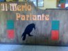 Immagini Le Merlo Parlante