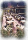 Immagini Antica Cucina Genovese