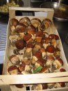 Immagini Ristorante Trattoria Ai Due Orsi