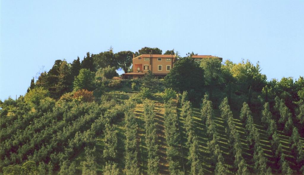 Dettagli Agriturismo Casale di Colle