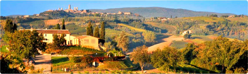 Dettagli Agriturismo La Lucciolaia