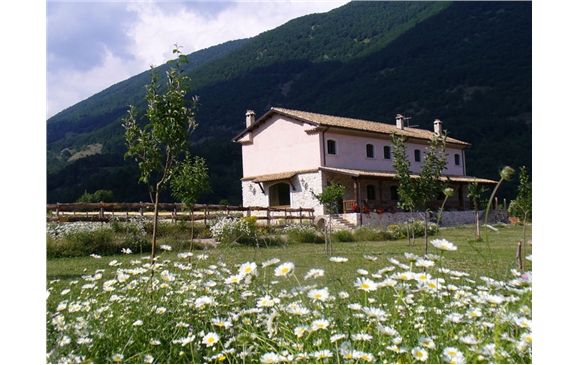 Dettagli Agriturismo Casale delle Campitelle