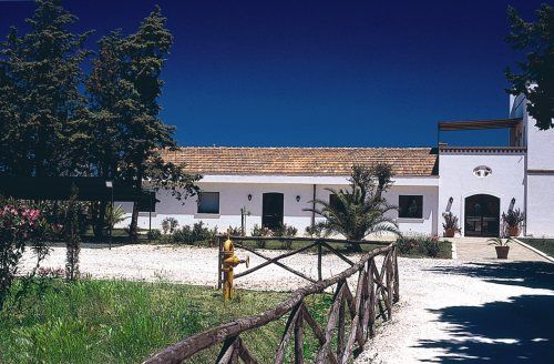 Dettagli Agriturismo San Teodoro Nuovo