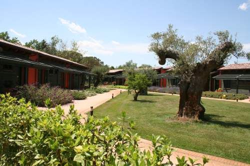 Dettagli Agriturismo Due Ponti Village