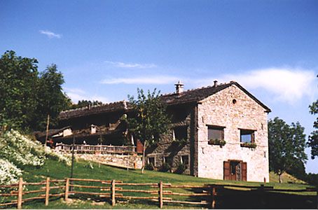 Dettagli Agriturismo Del Cimone - La Palazza