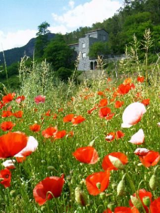 Dettagli Agriturismo Dei Monti Liguri e Cinque Terre