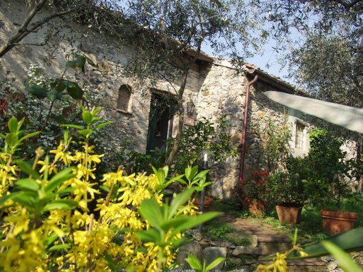 Dettagli Agriturismo Il vecchio Frantoio