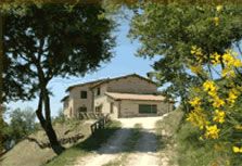 Dettagli Agriturismo Barcomonte