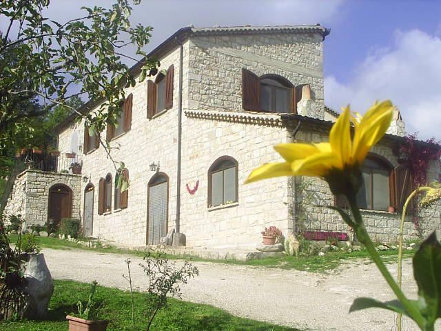 Dettagli Agriturismo Agrifoglio