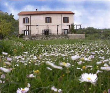 Dettagli Agriturismo La Selvetella