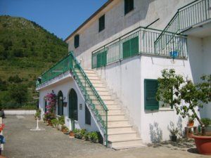 Dettagli Agriturismo Saura