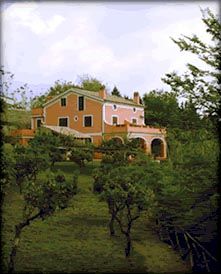 Dettagli Agriturismo La Vecchia Quercia