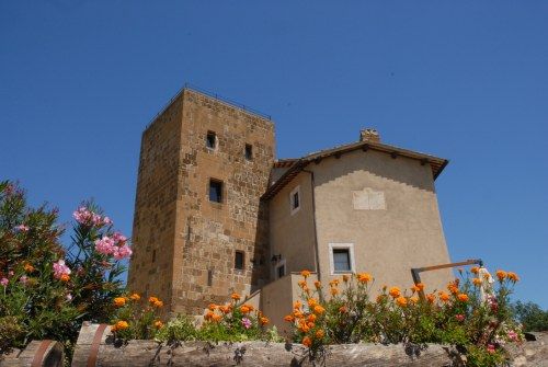 Dettagli Agriturismo Tenuta La Torraccia