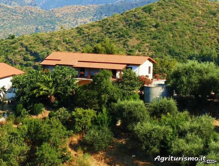 Dettagli Agriturismo Cà de Farò