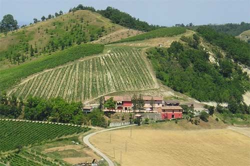 Dettagli Agriturismo Mondo Antico