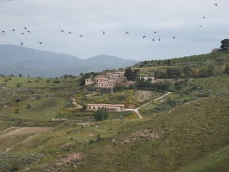 Dettagli Agriturismo San Giovannello