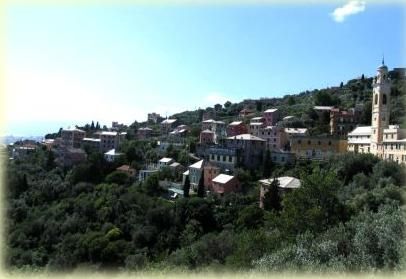 Dettagli Trattoria La terrazza di Milly