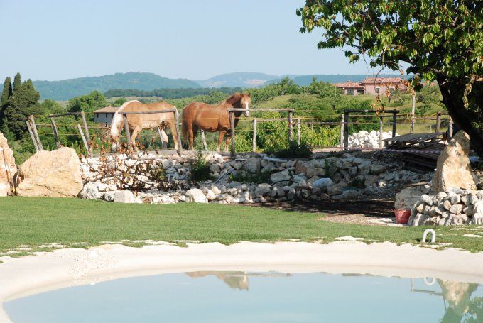 Dettagli Agriturismo La Perlara