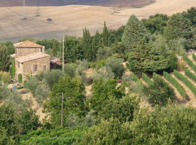 Dettagli Agriturismo Il Castagneto