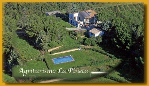 Dettagli Agriturismo La Pineta