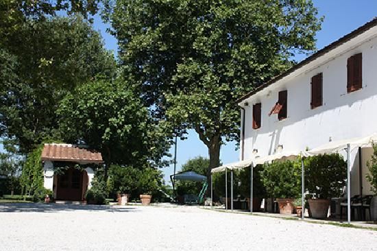 Dettagli Agriturismo La Pisana