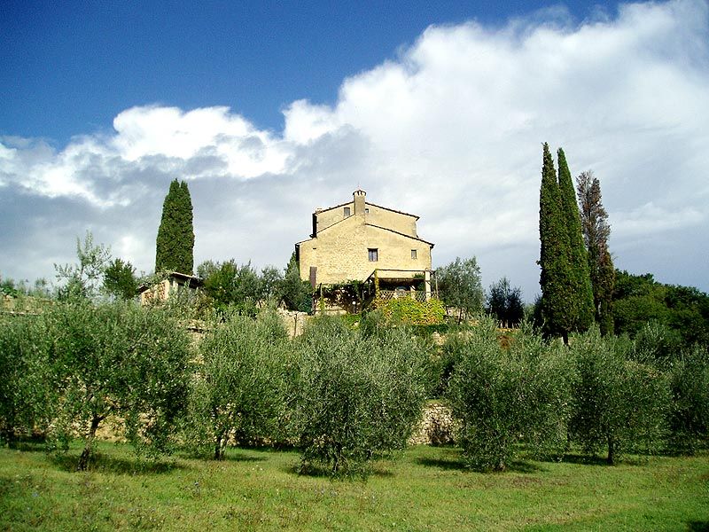 Dettagli Agriturismo Podere San Lorenzo